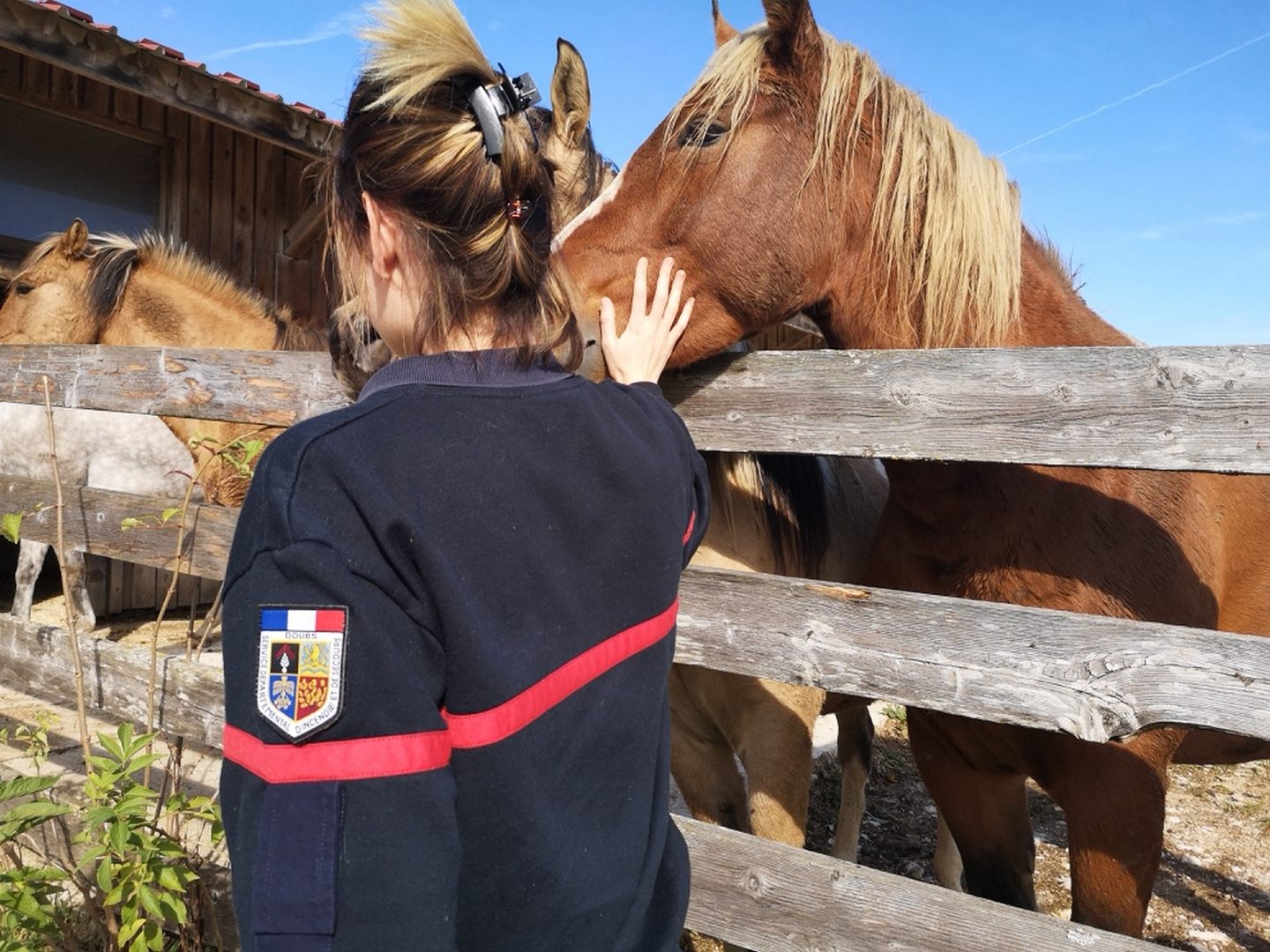 Formation Opérations Diverses partie Sauvetage Animalier 22/10/2019