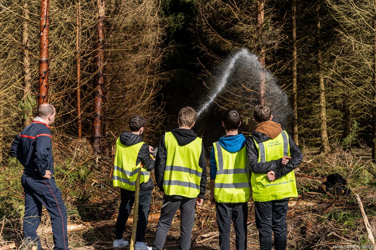 Journée Internationale des forêts